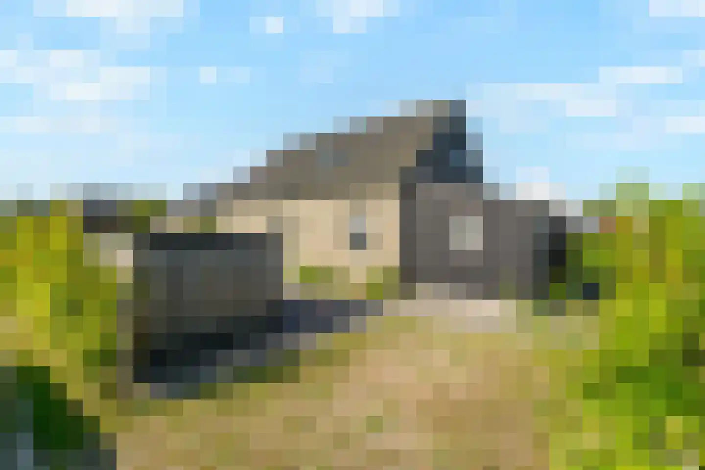 De Wielen 57 Sint Maarten thumbnail 6
