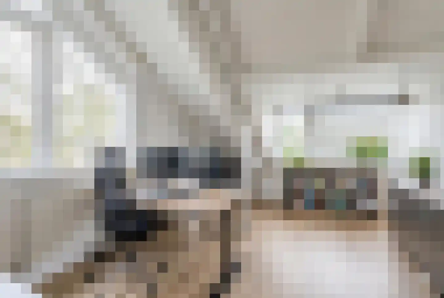 De Wielewaal 10 Zevenhuizen thumbnail 22
