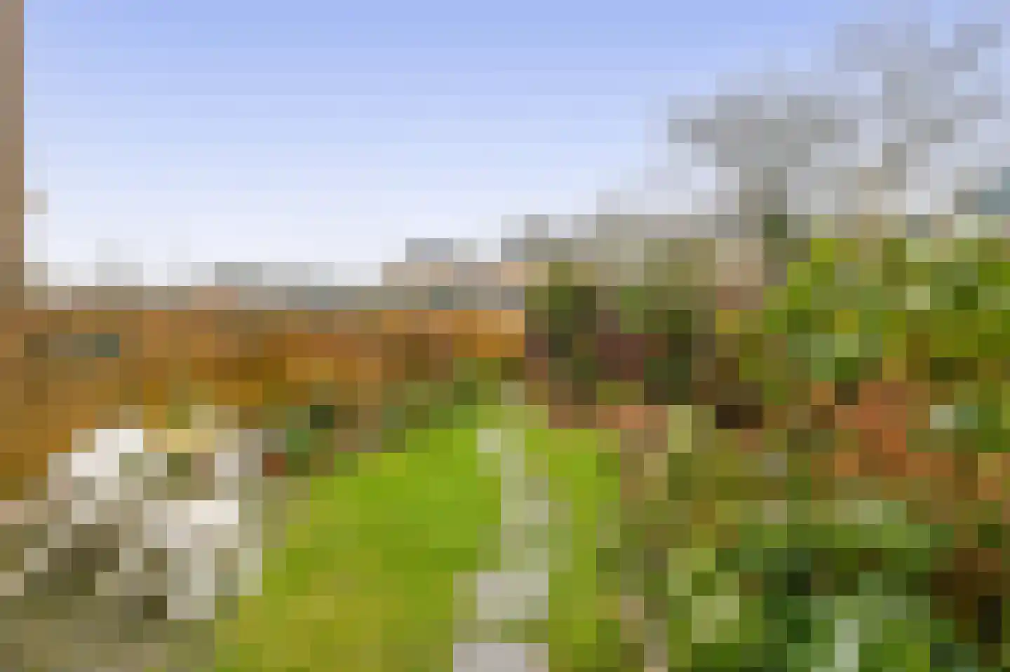 De Wielewaal 10 Zevenhuizen thumbnail 25