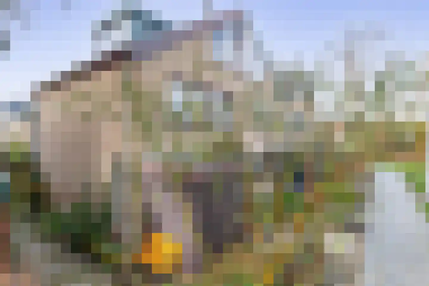 De Wielewaal 10 Zevenhuizen thumbnail 27