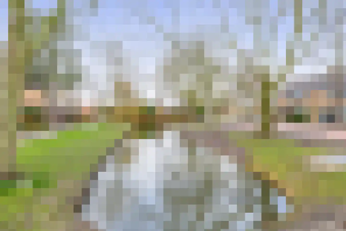 De Wielewaal 10 Zevenhuizen thumbnail 29