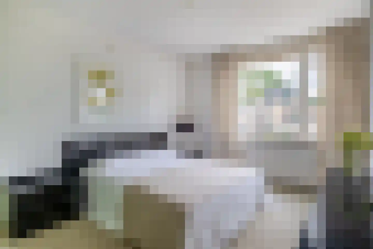 De Wielewaal 14 Zevenhuizen thumbnail 20