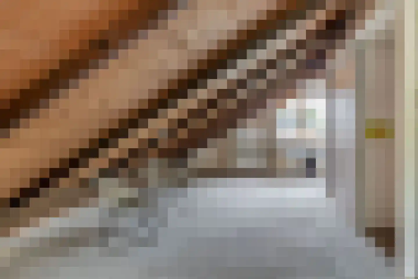 De Wielewaal 14 Zevenhuizen thumbnail 29