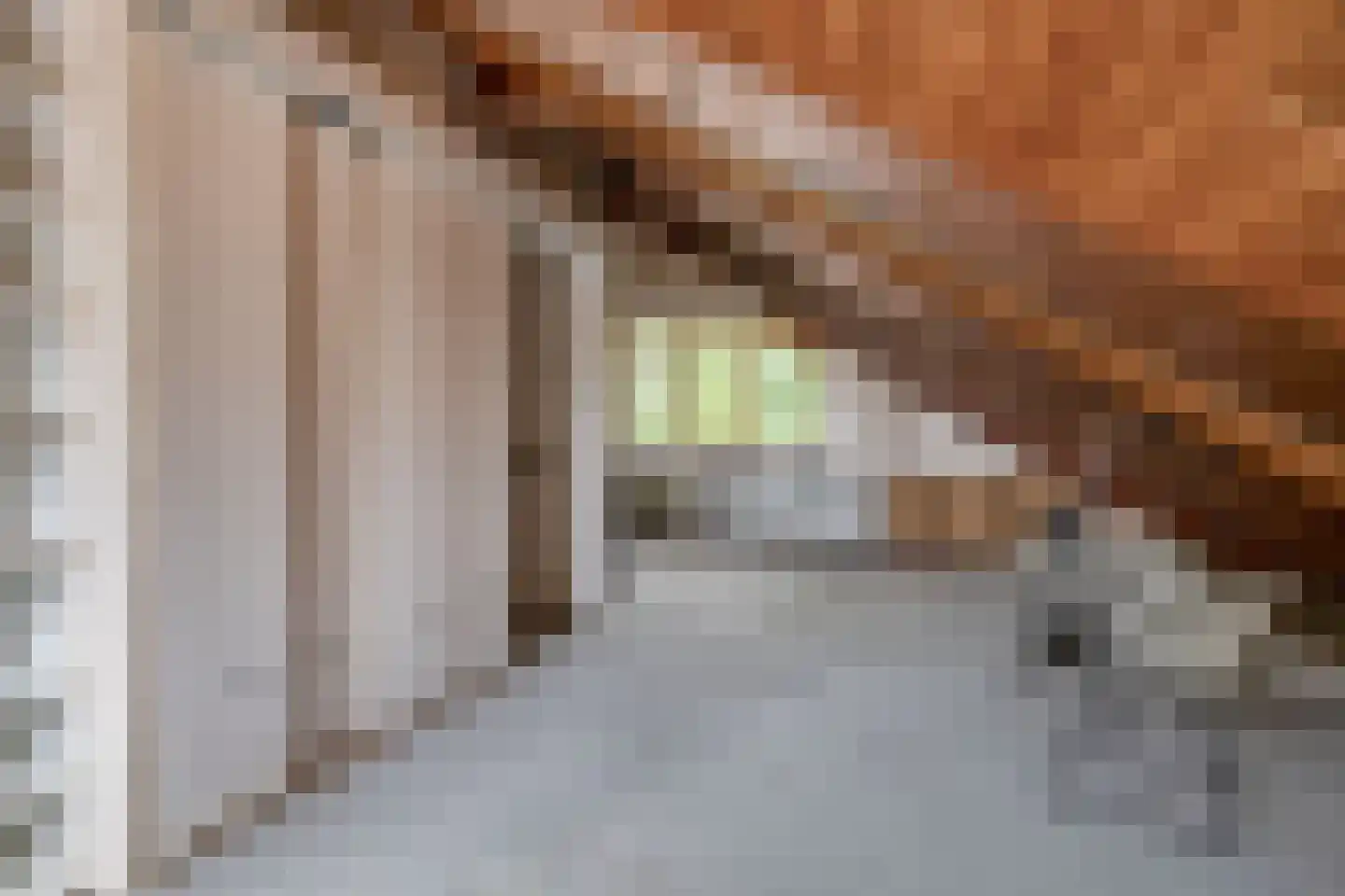 De Wielewaal 14 Zevenhuizen thumbnail 30