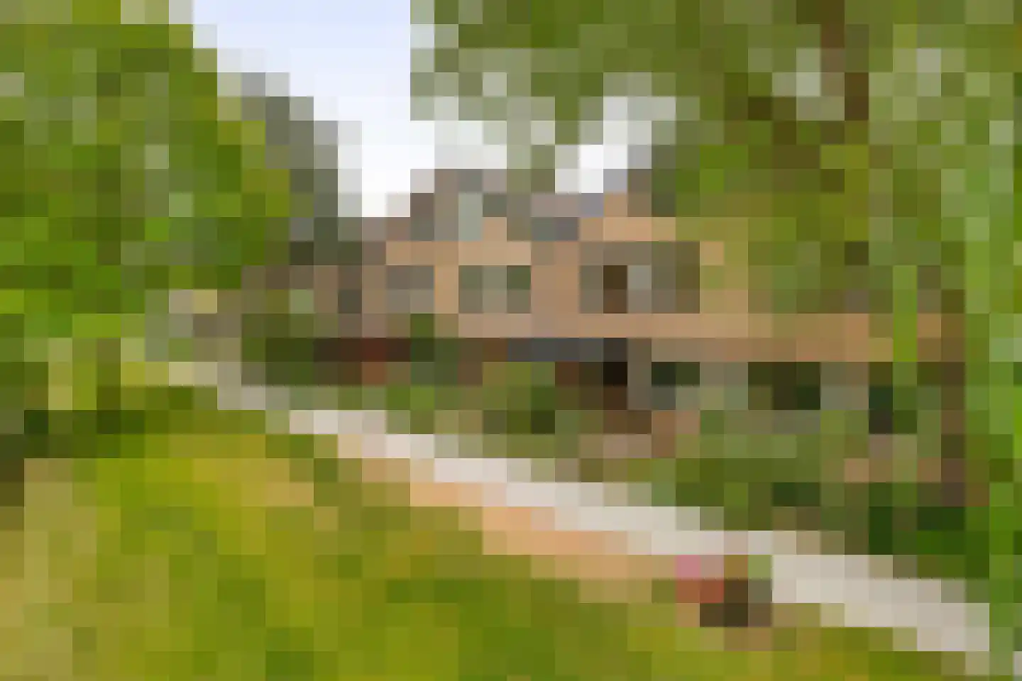 De Wielewaal 14 Zevenhuizen thumbnail 37
