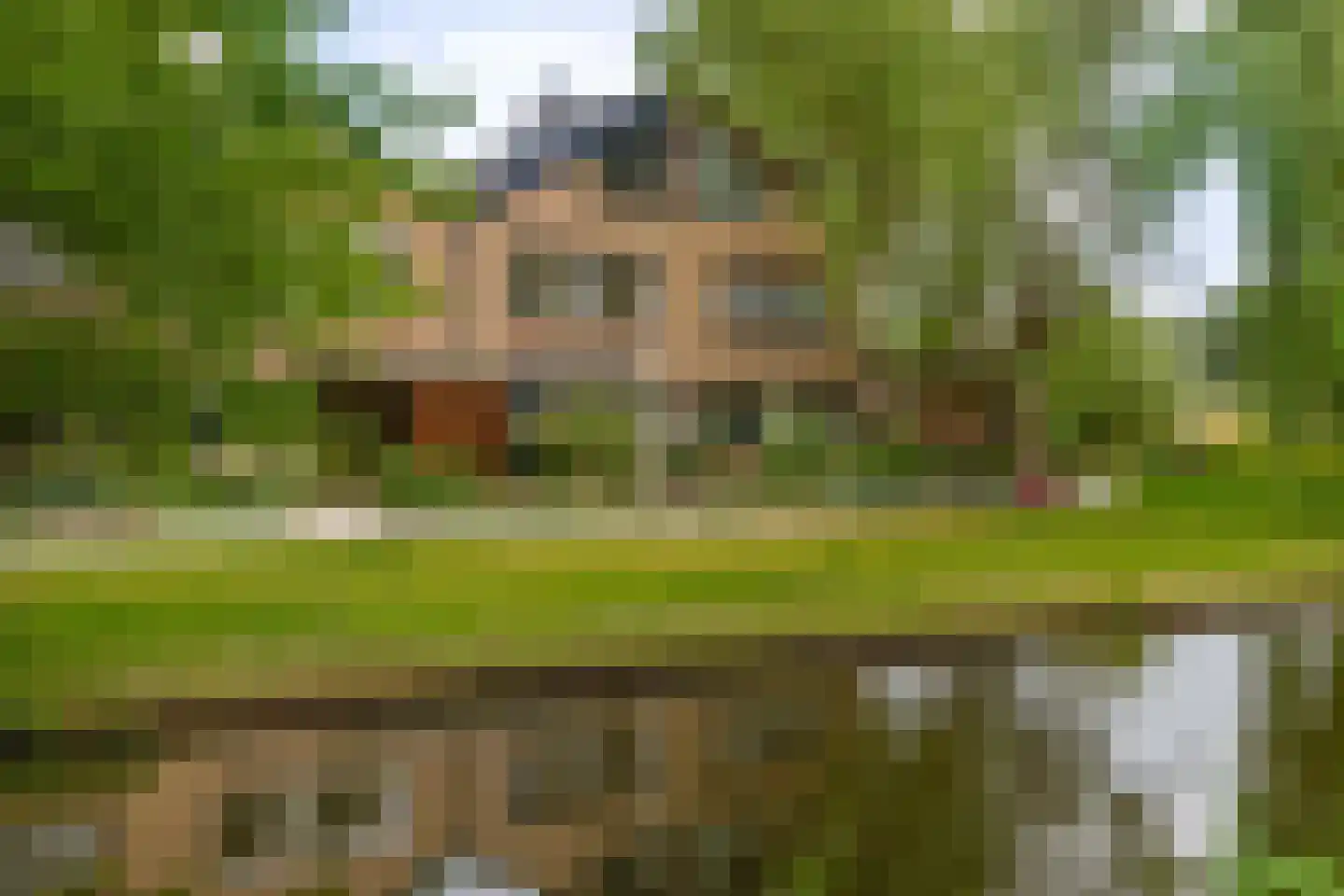 De Wielewaal 14 Zevenhuizen thumbnail 38