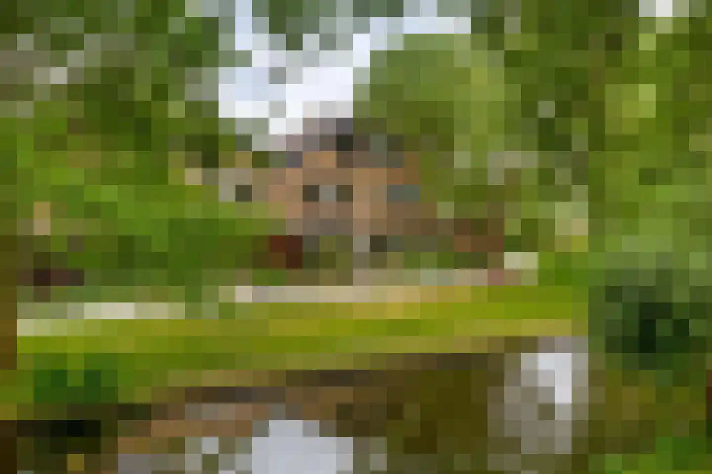 De Wielewaal 14 Zevenhuizen thumbnail 39