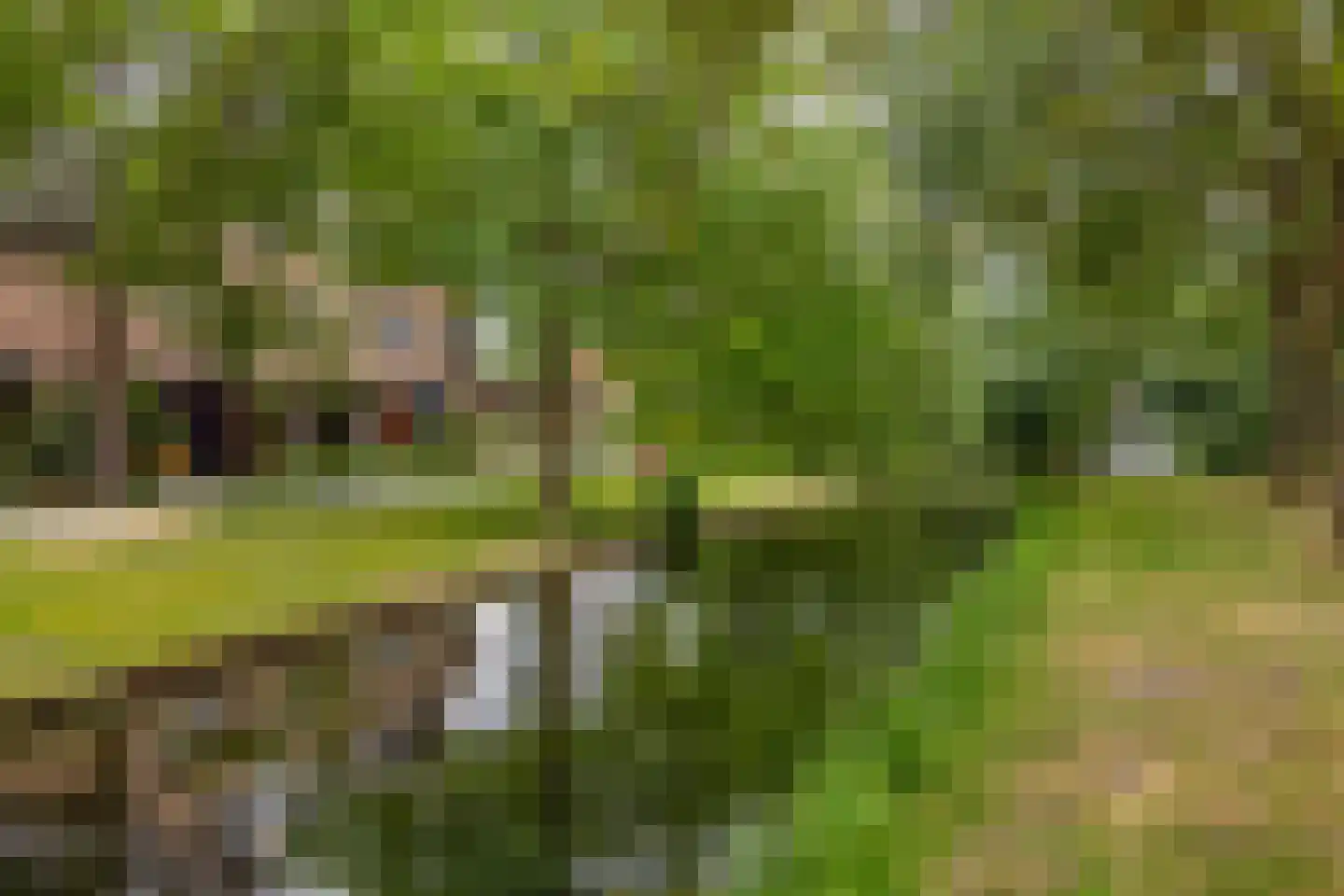 De Wielewaal 14 Zevenhuizen thumbnail 4