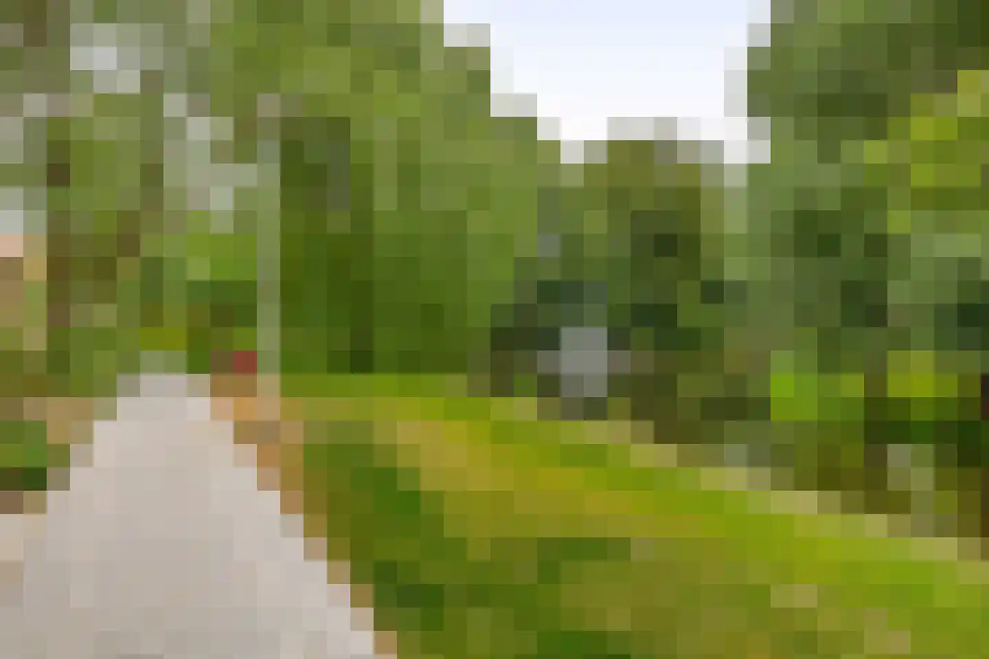 De Wielewaal 14 Zevenhuizen thumbnail 40