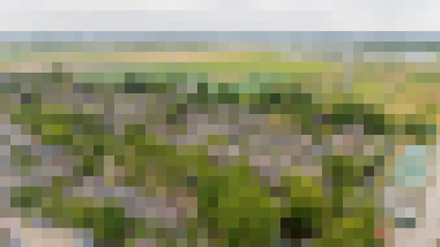 De Wielewaal 14 Zevenhuizen thumbnail 41