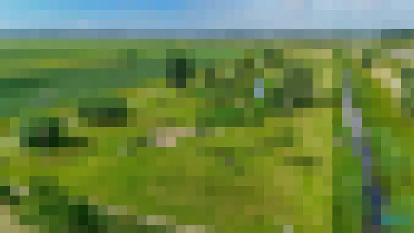 De Wielewaal 14 Zevenhuizen thumbnail 43