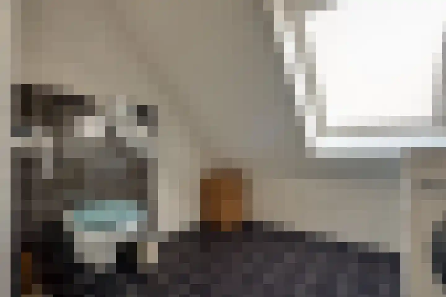 De Wielewaal 2 C Surhuisterveen thumbnail 30