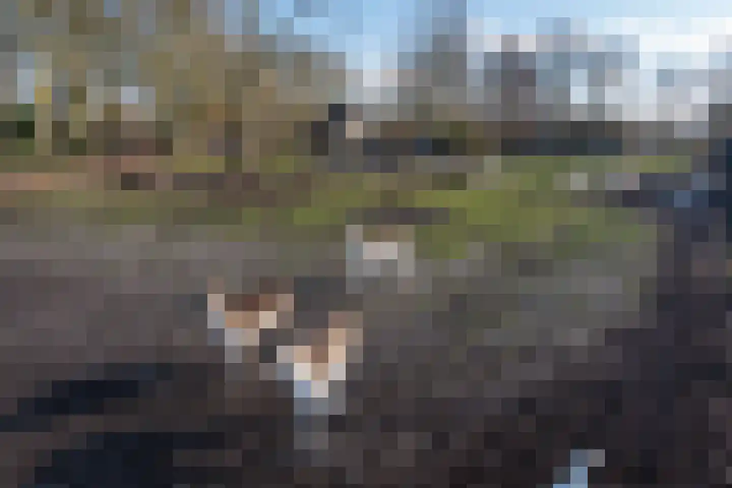 De Wielewaal 2 C Surhuisterveen thumbnail 35