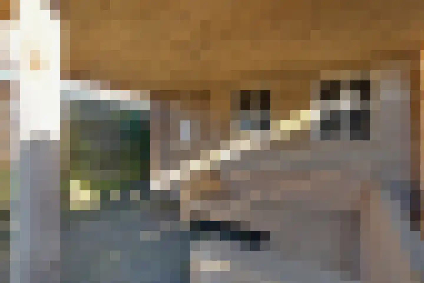 De Wielewaal 2 C Surhuisterveen thumbnail 39