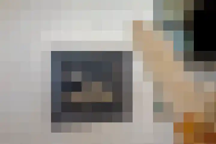 De Wielewaal 2 Delden thumbnail 11