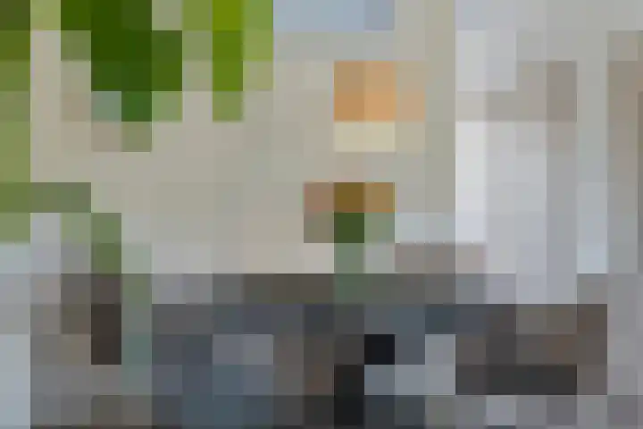 De Wielewaal 2 Delden thumbnail 13