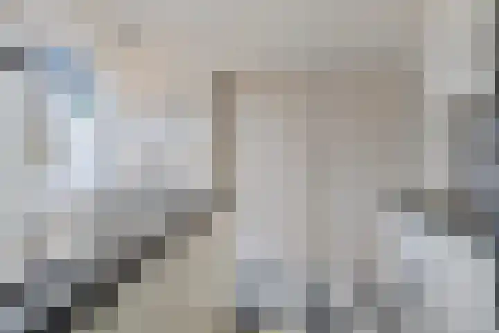 De Wielewaal 2 Delden thumbnail 17