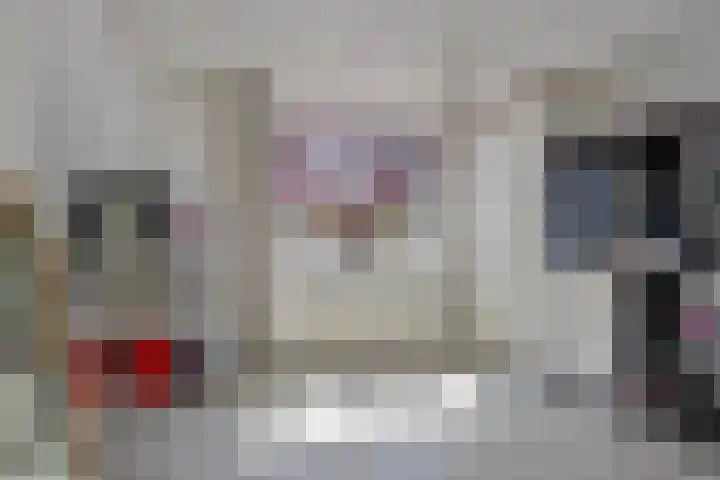 De Wielewaal 2 Delden thumbnail 21