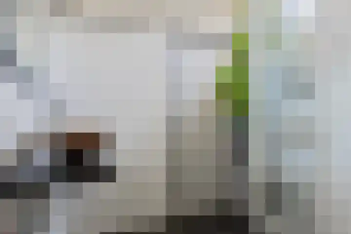 De Wielewaal 2 Delden thumbnail 23