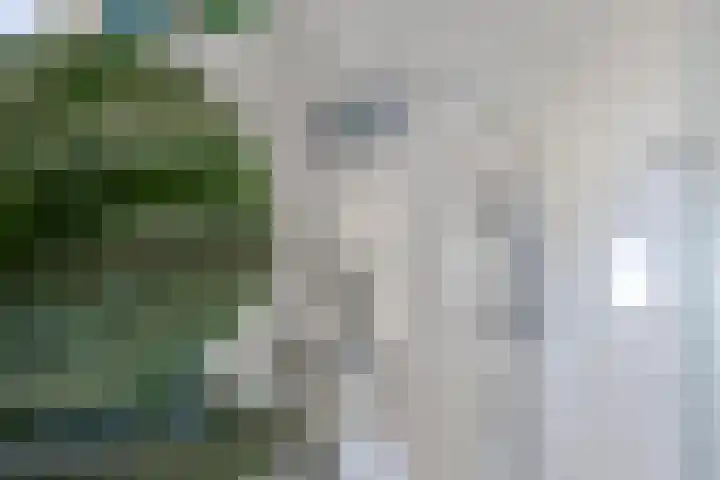 De Wielewaal 2 Delden thumbnail 27