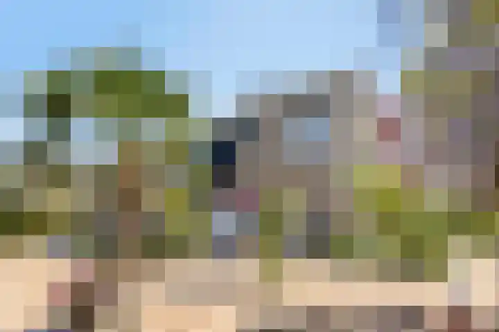 De Wielewaal 2 Delden thumbnail 35