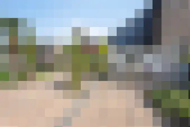 De Wielewaal 2 Delden thumbnail 36