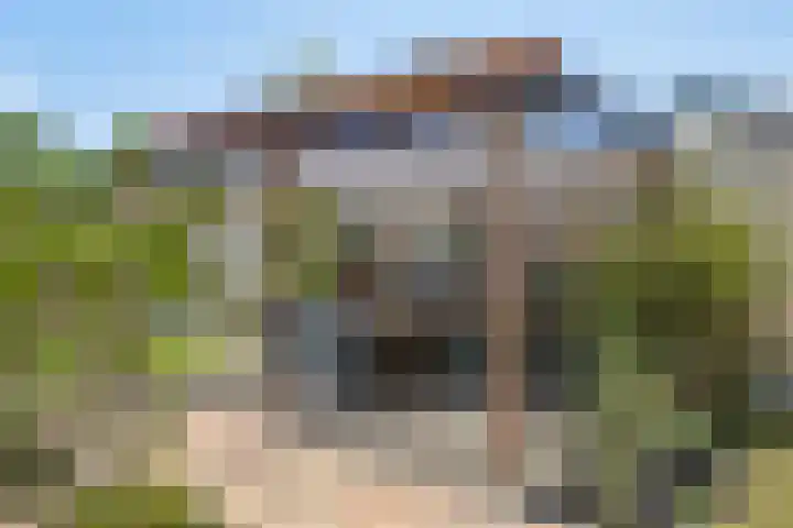 De Wielewaal 2 Delden thumbnail 37