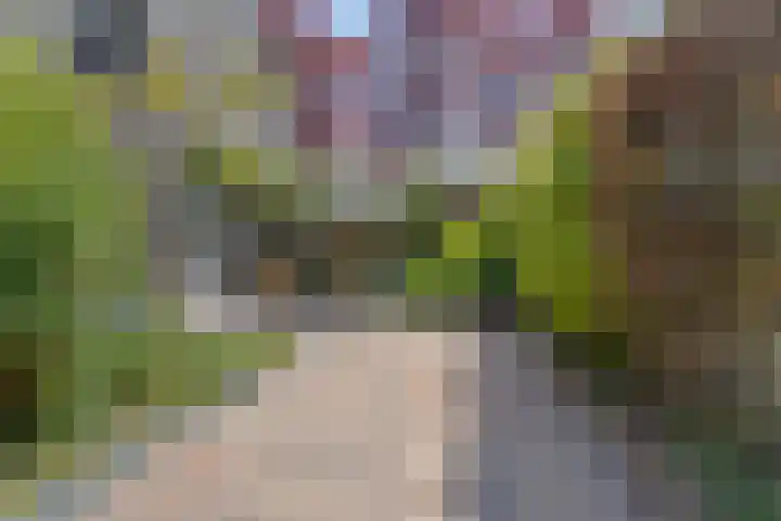 De Wielewaal 2 Delden thumbnail 41