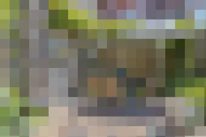 De Wielewaal 2 Delden thumbnail 42