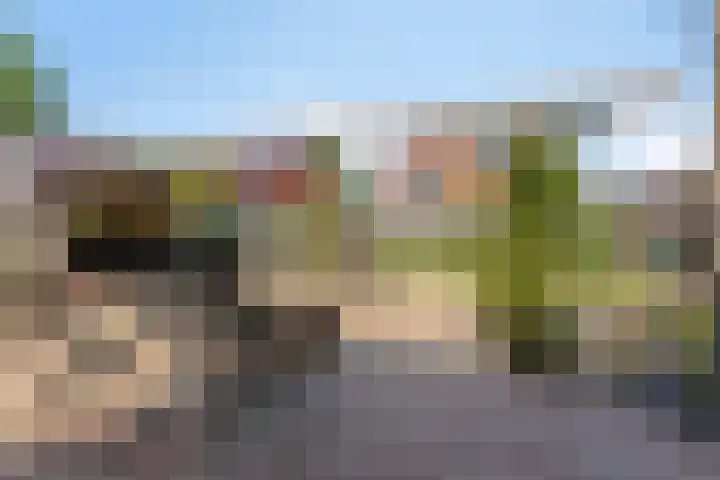 De Wielewaal 2 Delden thumbnail 43