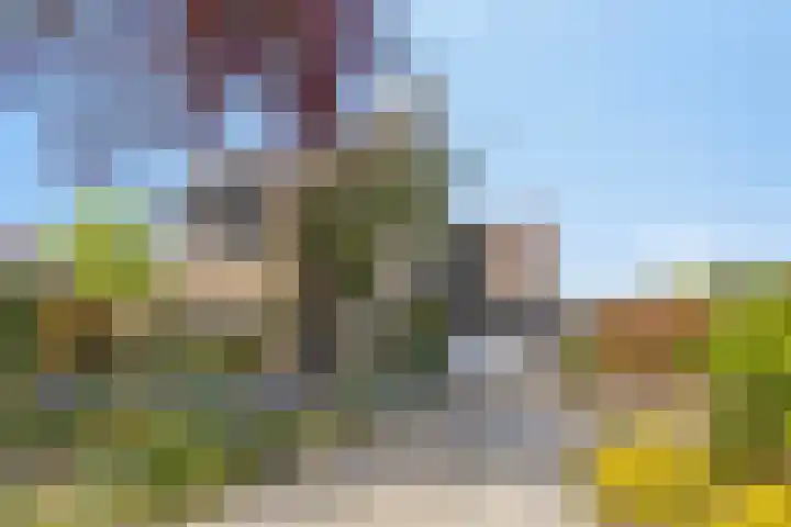 De Wielewaal 2 Delden thumbnail 5