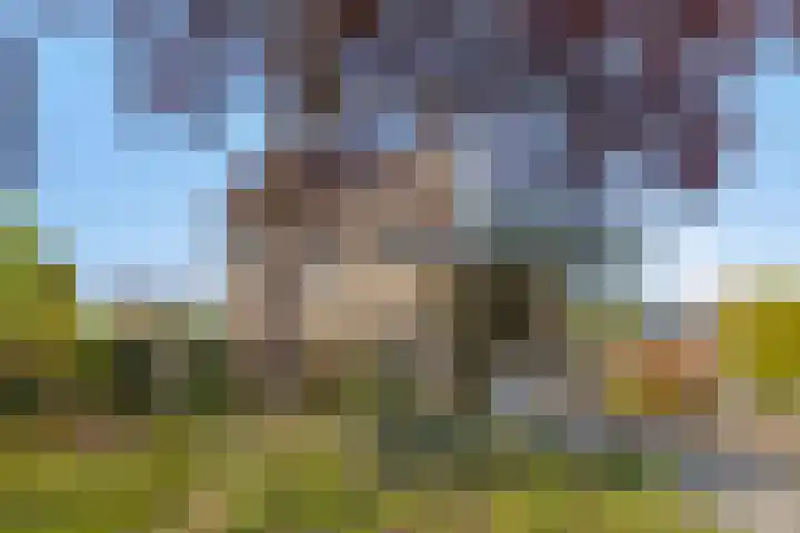 De Wielewaal 2 Delden thumbnail 6