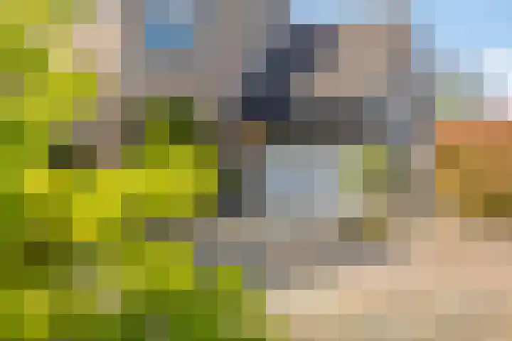 De Wielewaal 2 Delden thumbnail 7