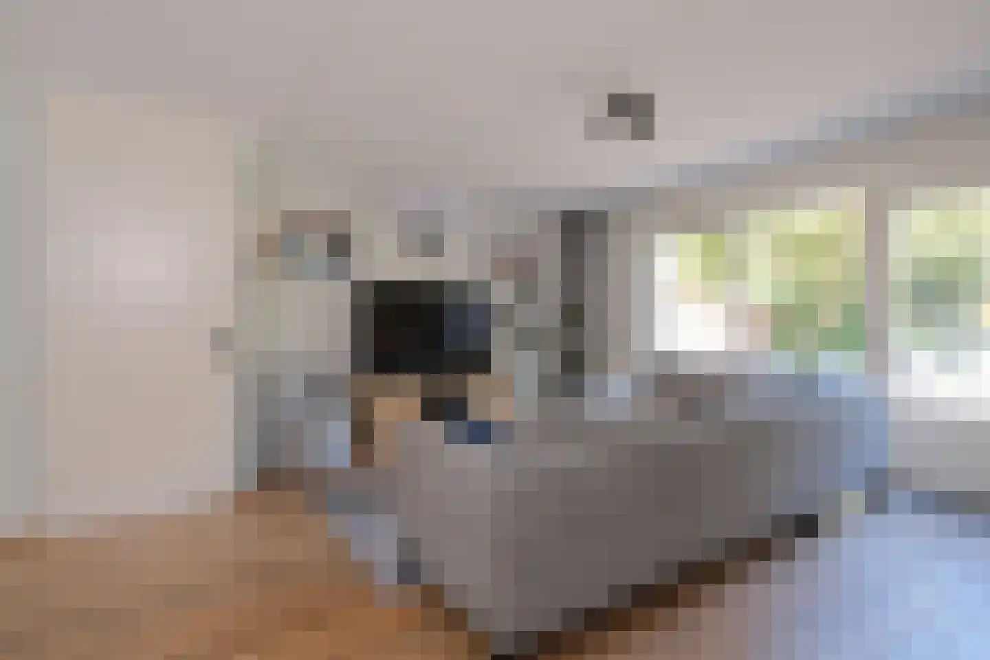 De Wielewaal 20 Almelo thumbnail 8