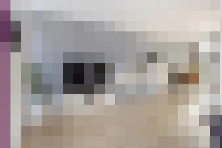 De Wielewaal 23 Zevenhuizen thumbnail 11