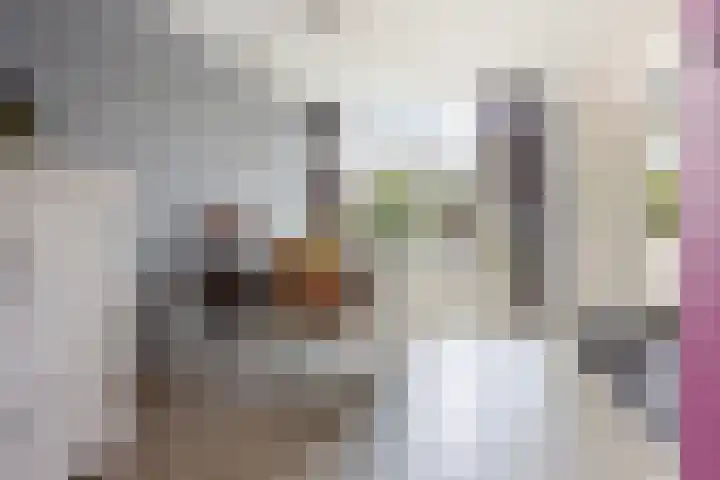 De Wielewaal 23 Zevenhuizen thumbnail 12