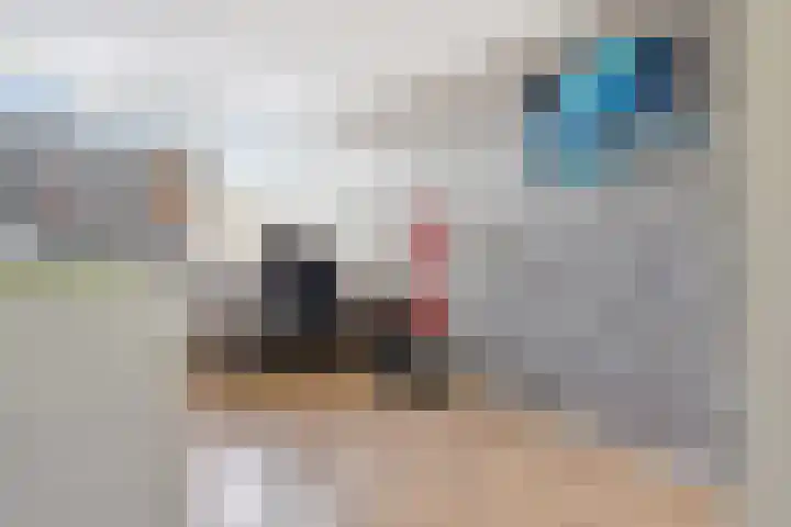 De Wielewaal 23 Zevenhuizen thumbnail 18
