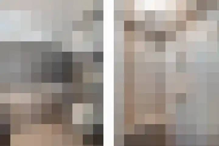 De Wielewaal 23 Zevenhuizen thumbnail 22