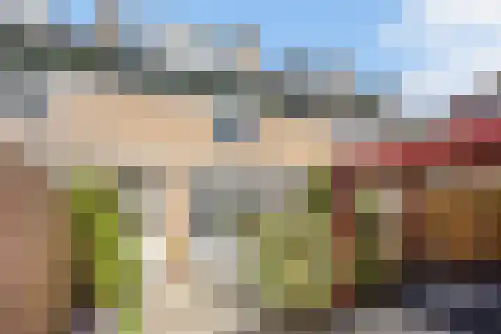 De Wielewaal 23 Zevenhuizen thumbnail 27