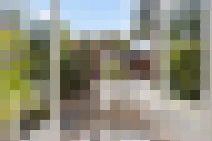 De Wielewaal 23 Zevenhuizen thumbnail 28