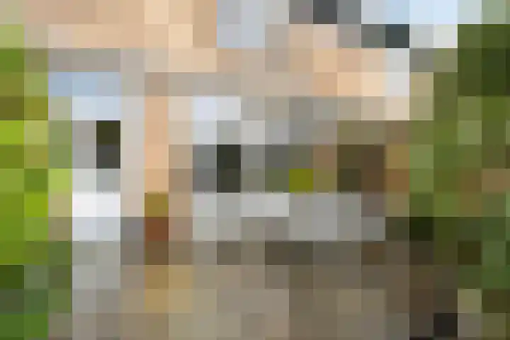 De Wielewaal 23 Zevenhuizen thumbnail 29