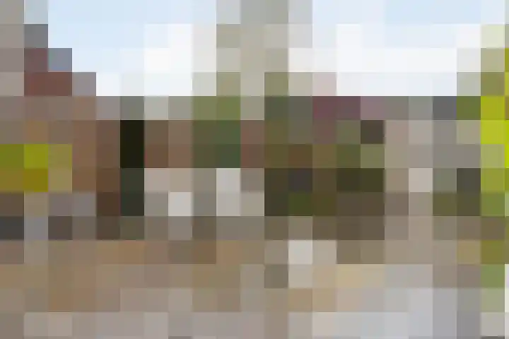 De Wielewaal 23 Zevenhuizen thumbnail 30