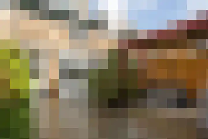 De Wielewaal 23 Zevenhuizen thumbnail 32