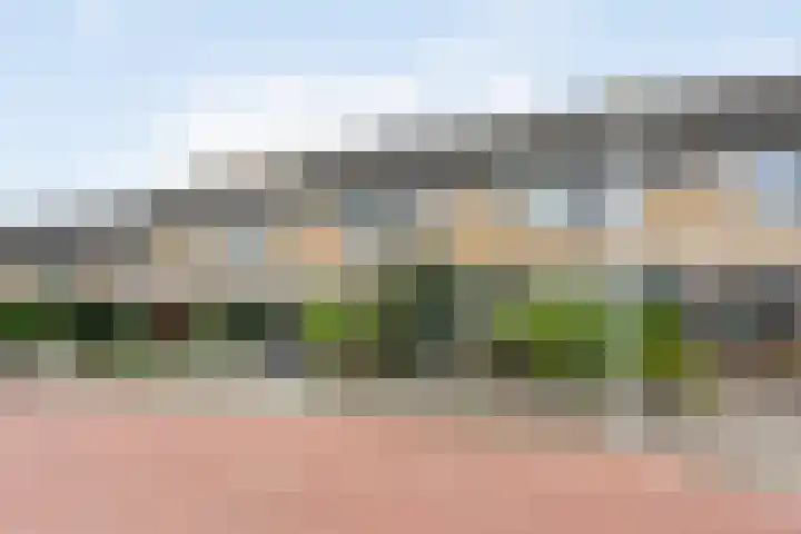 De Wielewaal 23 Zevenhuizen thumbnail 33