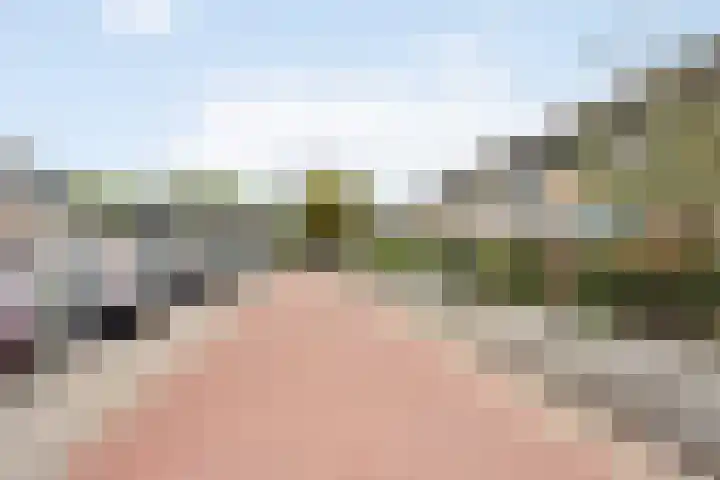 De Wielewaal 23 Zevenhuizen thumbnail 34