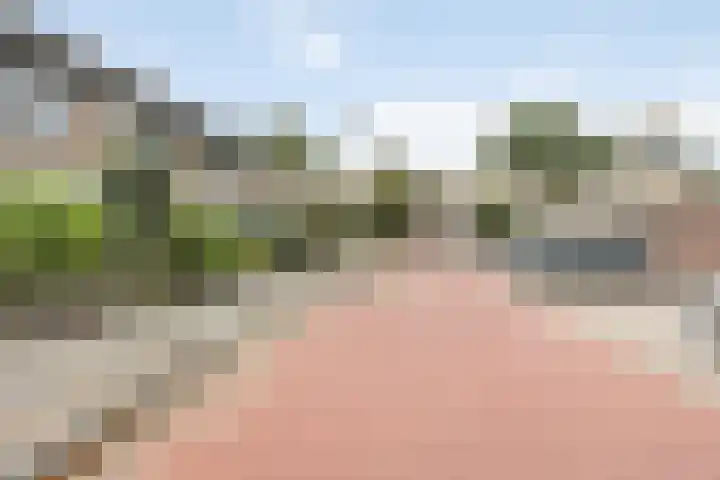 De Wielewaal 23 Zevenhuizen thumbnail 35