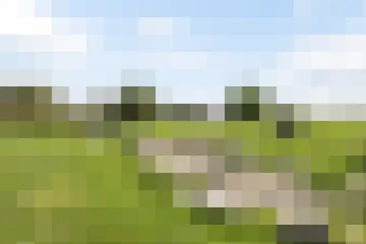De Wielewaal 23 Zevenhuizen thumbnail 36
