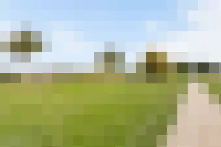 De Wielewaal 23 Zevenhuizen thumbnail 37