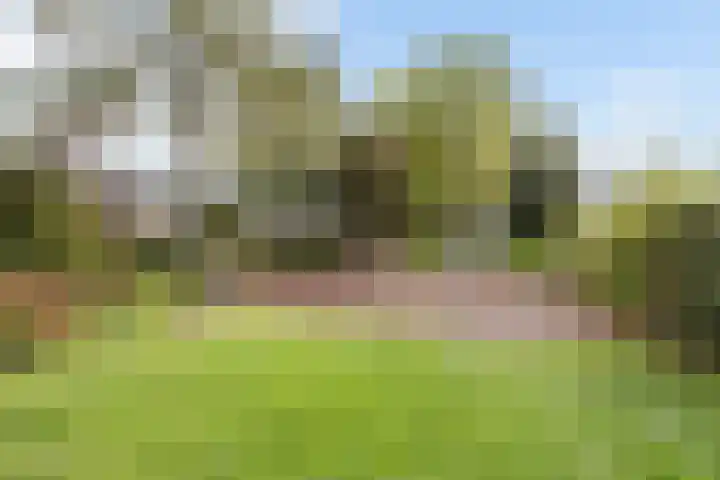 De Wielewaal 23 Zevenhuizen thumbnail 38