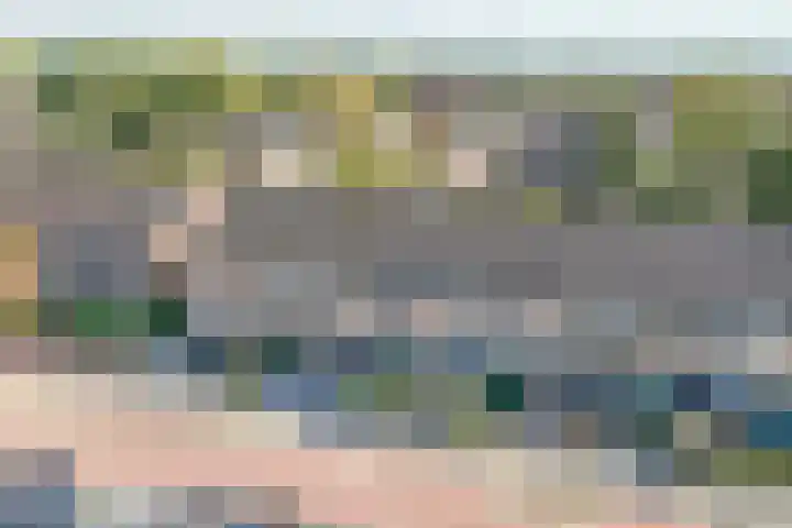 De Wielewaal 23 Zevenhuizen thumbnail 4